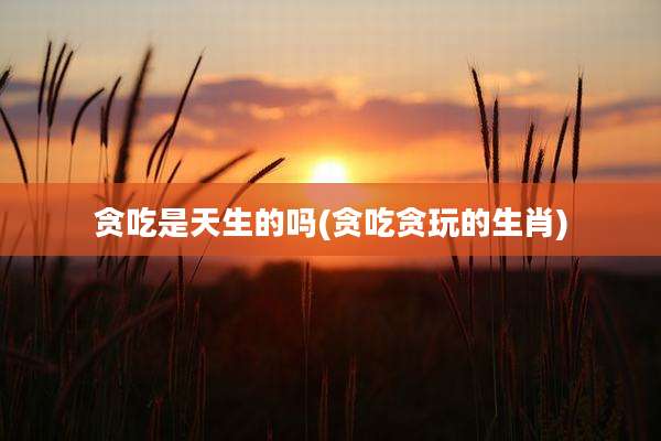 贪吃是天生的吗(贪吃贪玩的生肖)