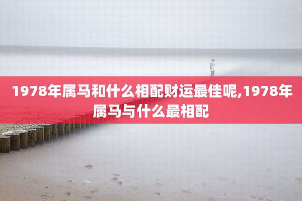 1978年属马和什么相配财运最佳呢,1978年属马与什么最相配