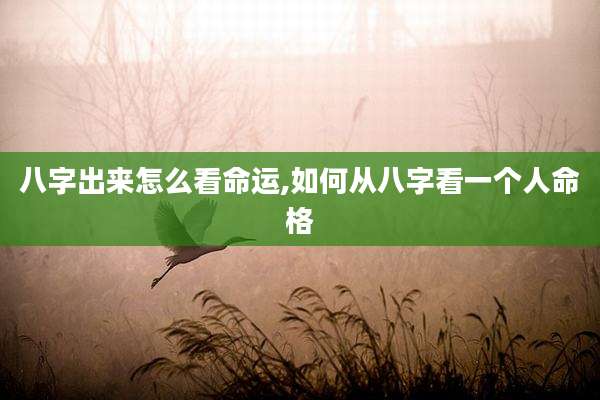 八字出来怎么看命运,如何从八字看一个人命格