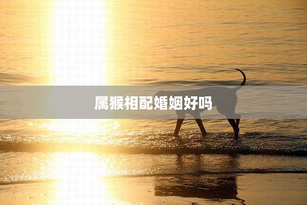 属猴相配婚姻好吗
