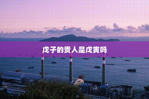 戊子的贵人是戊寅吗