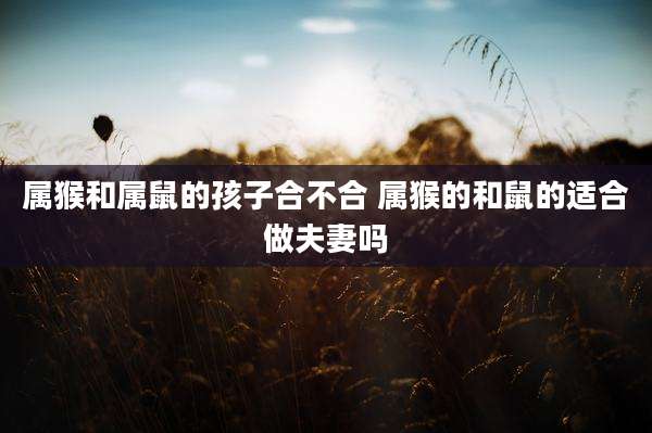 属猴和属鼠的孩子合不合 属猴的和鼠的适合做夫妻吗