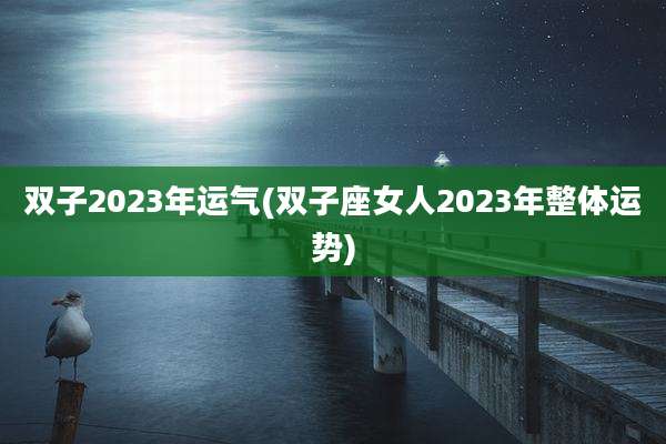 双子2023年运气(双子座女人2023年整体运势)