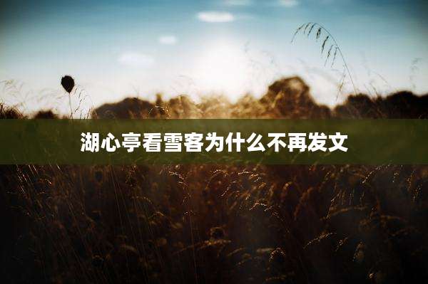 湖心亭看雪客为什么不再发文