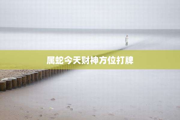 属蛇今天财神方位打牌