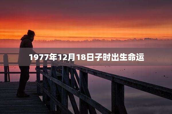 1977年12月18日子时出生命运