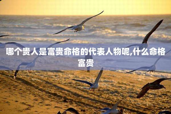 哪个贵人是富贵命格的代表人物呢,什么命格富贵