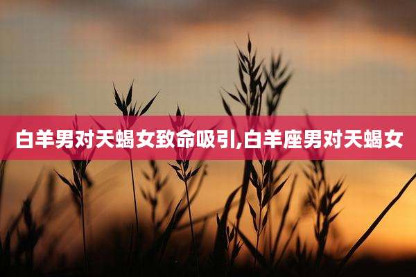 白羊男对天蝎女致命吸引,白羊座男对天蝎女