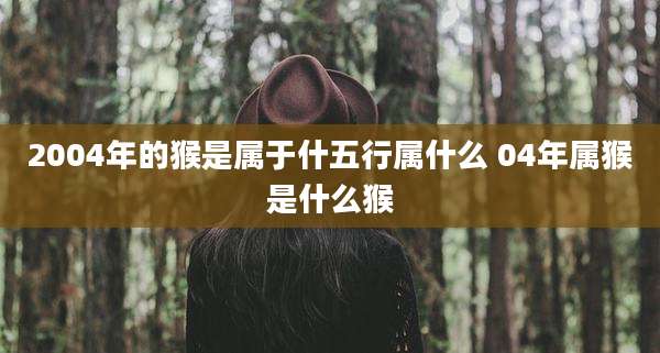 2004年的猴是属于什五行属什么 04年属猴是什么猴