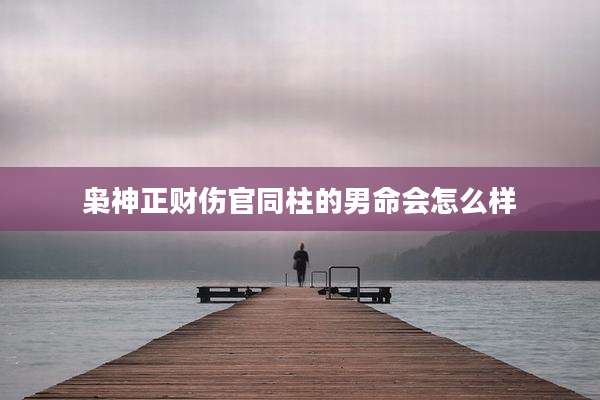 枭神正财伤官同柱的男命会怎么样