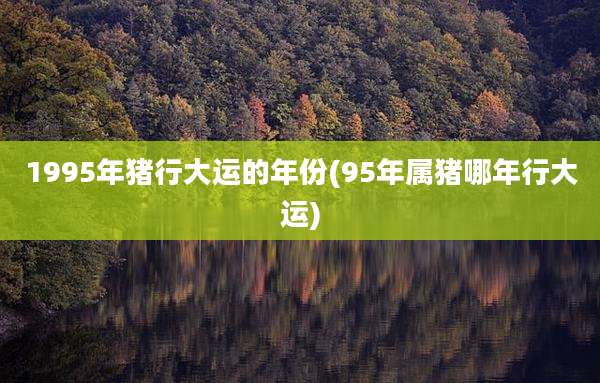 1995年猪行大运的年份(95年属猪哪年行大运)
