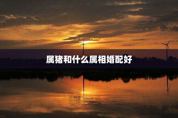 属猪和什么属相婚配好