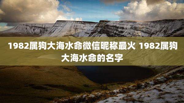 1982属狗大海水命微信昵称最火 1982属狗大海水命的名字