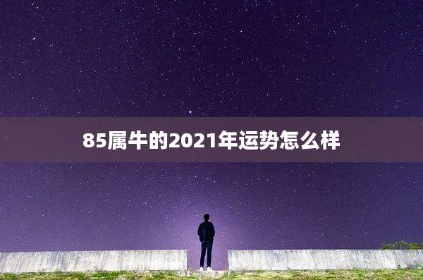 85属牛的2021年运势怎么样