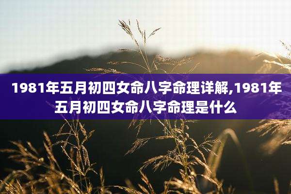 1981年五月初四女命八字命理详解,1981年五月初四女命八字命理是什么