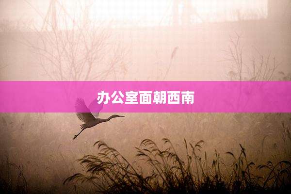 办公室面朝西南