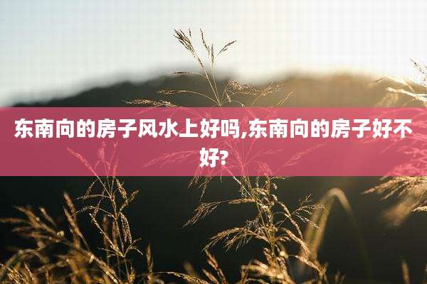 东南向的房子风水上好吗,东南向的房子好不好?