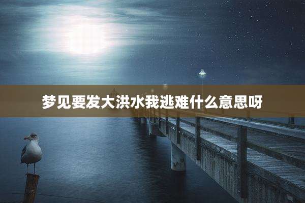 梦见要发大洪水我逃难什么意思呀
