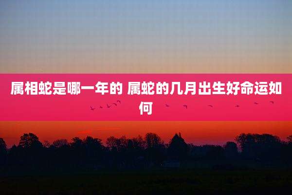 属相蛇是哪一年的 属蛇的几月出生好命运如何