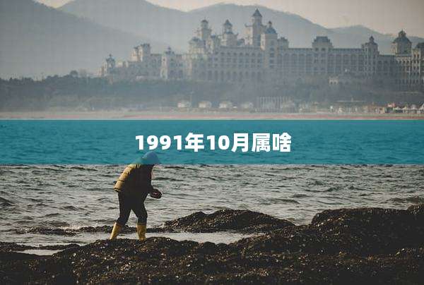 1991年10月属啥