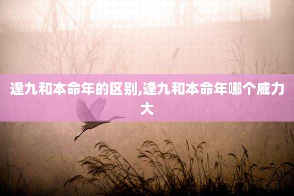 逢九和本命年的区别,逢九和本命年哪个威力大