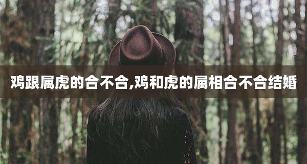 鸡跟属虎的合不合,鸡和虎的属相合不合结婚