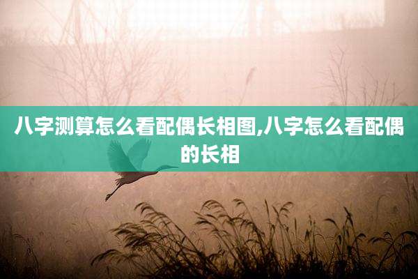 八字测算怎么看配偶长相图,八字怎么看配偶的长相