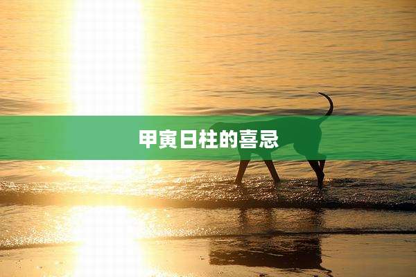 甲寅日柱的喜忌