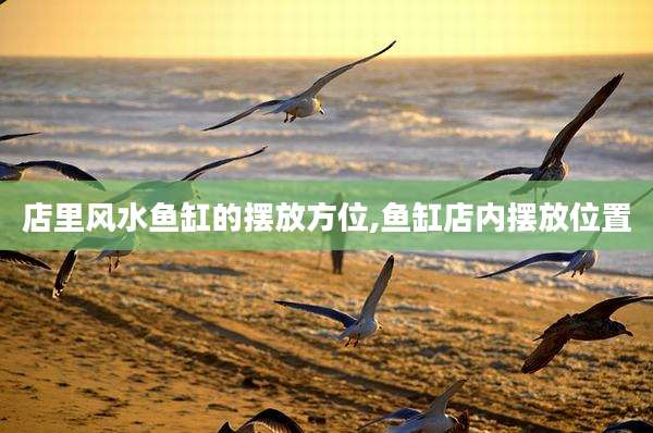 店里风水鱼缸的摆放方位,鱼缸店内摆放位置