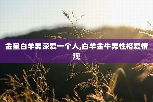 金星白羊男深爱一个人,白羊金牛男性格爱情观