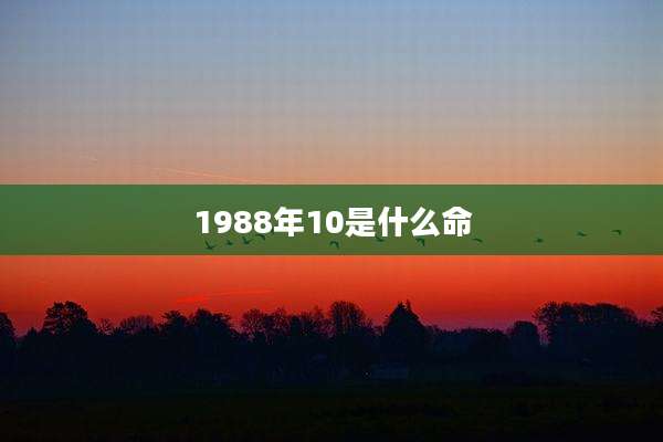 1988年10是什么命