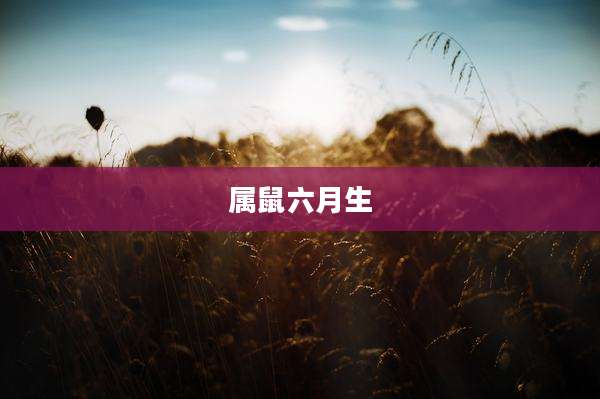 属鼠六月生