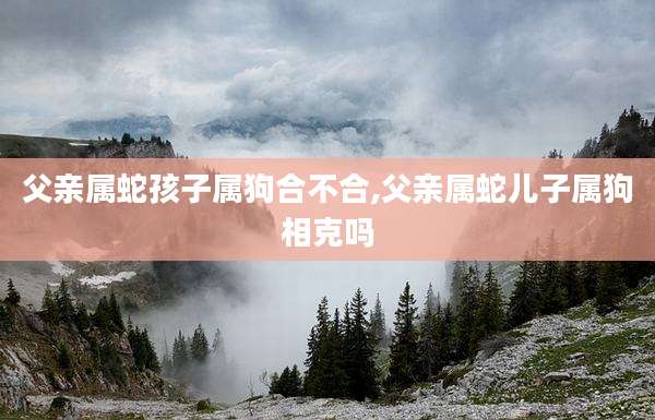 父亲属蛇孩子属狗合不合,父亲属蛇儿子属狗相克吗