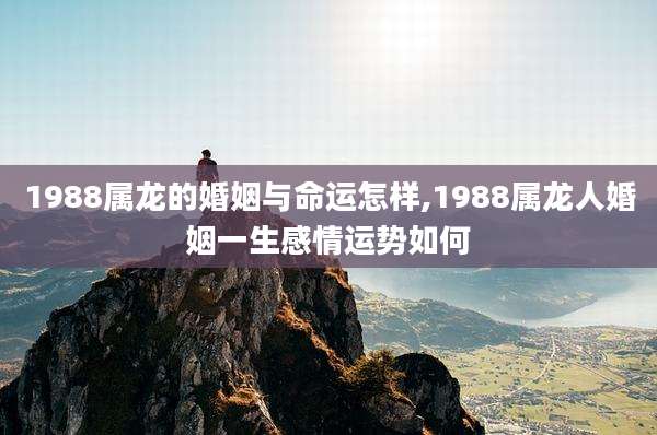 1988属龙的婚姻与命运怎样,1988属龙人婚姻一生感情运势如何