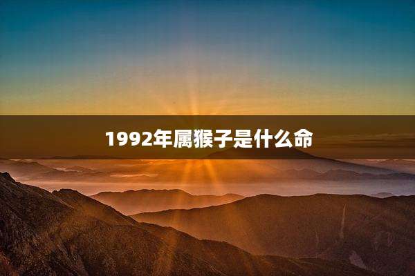 1992年属猴子是什么命