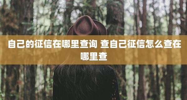 自己的征信在哪里查询 查自己征信怎么查在哪里查