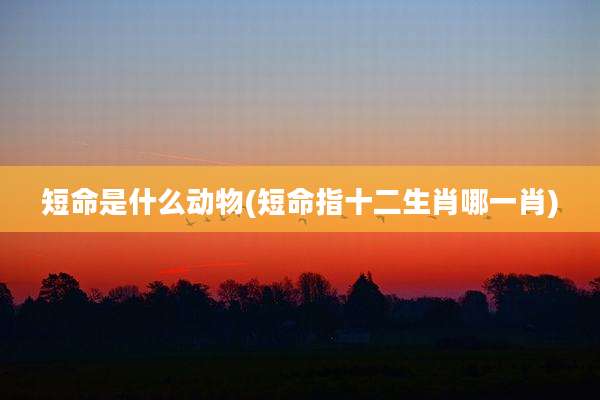 短命是什么动物(短命指十二生肖哪一肖)
