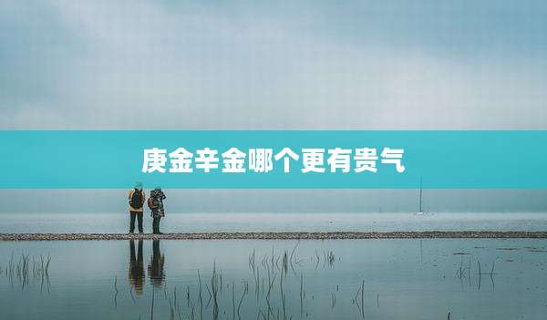 庚金辛金哪个更有贵气