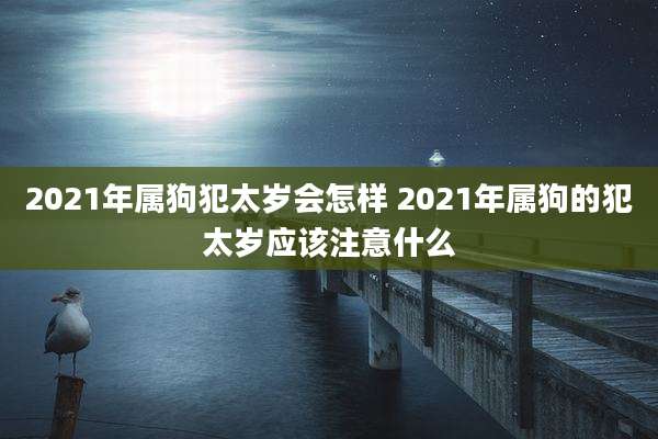 2021年属狗犯太岁会怎样 2021年属狗的犯太岁应该注意什么