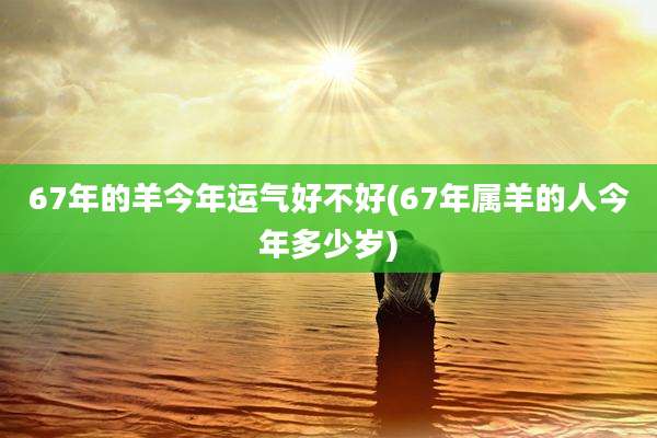67年的羊今年运气好不好(67年属羊的人今年多少岁)