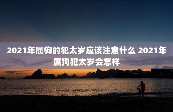 2021年属狗的犯太岁应该注意什么 2021年属狗犯太岁会怎样