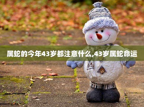 属蛇的今年43岁都注意什么,43岁属蛇命运