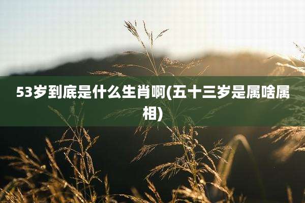 53岁到底是什么生肖啊(五十三岁是属啥属相)