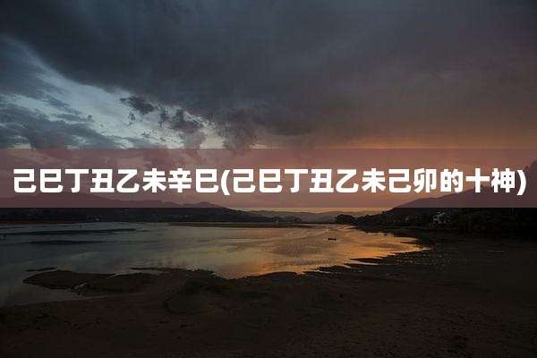 己巳丁丑乙未辛巳(己巳丁丑乙未己卯的十神)