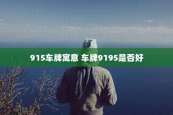 915车牌寓意 车牌9195是否好