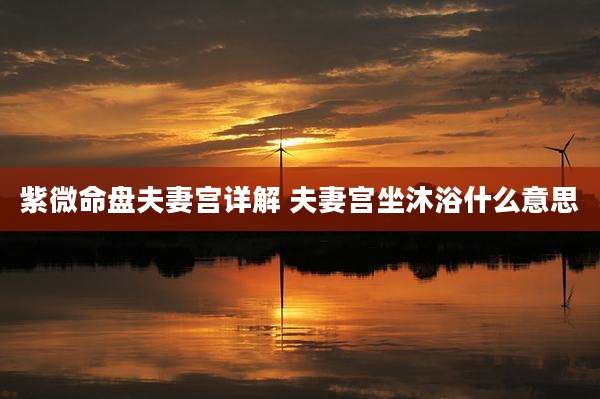 紫微命盘夫妻宫详解 夫妻宫坐沐浴什么意思