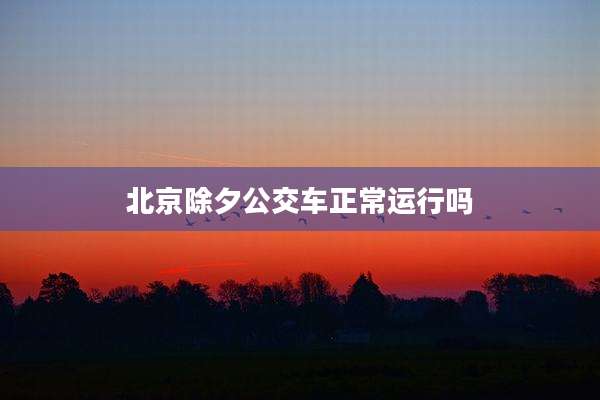 北京除夕公交车正常运行吗