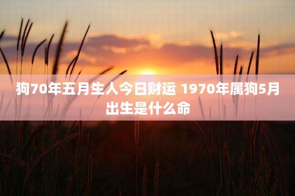 狗70年五月生人今日财运 1970年属狗5月出生是什么命