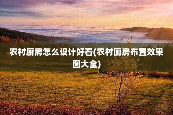 农村厨房怎么设计好看(农村厨房布置效果图大全)