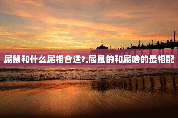 属鼠和什么属相合适?,属鼠的和属啥的最相配